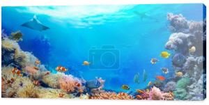 Panoramiczny widok rafy koralowej. Zwierzęta podwodnego świata morskiego. Ekosystem. Kolorowe ryby tropikalne. 