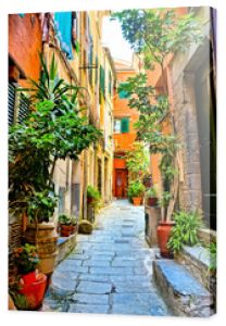 Kolorowa roślina wyłożona starą ulicą w wiosce Vernazza w Cinque Terre, Włochy