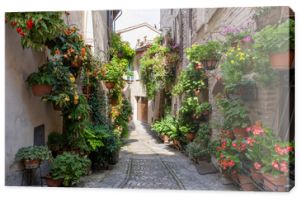 Urocze kwieciste uliczki średniowiecznych miasteczek we Włoszech. Spello w Umbrii