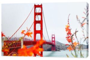 most Golden Gate San Francisco w Kalifornii USA