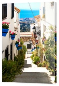 piękna ulica z kwiatami w miasteczku mijas, Hiszpania