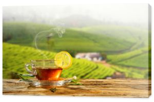 Filiżanka gorącej herbaty z plantacją na tle
