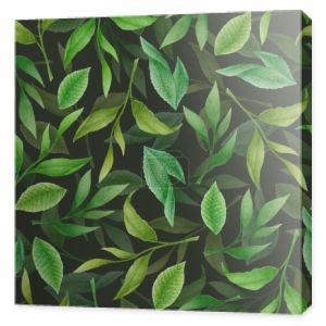 Akwarela bezszwowy wzór z zielonymi ręcznie rysowane liście herbaty i gałęzie izolowane na czarnym tle. Ilustracja botaniczna do wzoru tekstylnego, nadruku, tkaniny, tapety