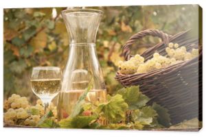 sezon jesienny winnicy białego wina