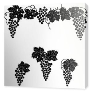 Winogrona grawerowane zestaw projektu Zestaw elementów dekoracyjnych winogron winorośli.