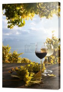 para kieliszki i kiść winogron. w regionie Lavaux, Szwajcarii