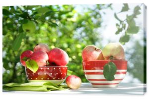 Świeże, soczyste, rumiane jabłka w czerwonej tablicy kropek na stole na tle sadu jabłkowego i niebo w przyrodzie w słoneczny dzień. Piękne jabłka w zbliżeniu słońca, kopia przestrzeń.
