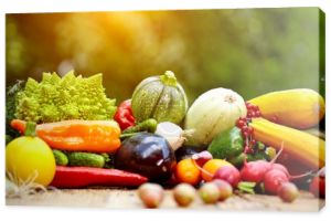 Świeże ekologiczne warzywa i owoce