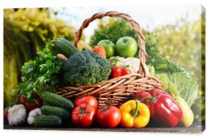Wiklinowy kosz z różnorodnych surowców organicznych warzyw w ogrodzie