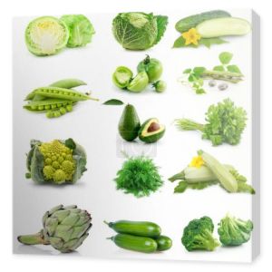 zbiór świeże zielone warzywa na białym tle