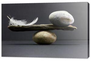 równowaga piór i kamieni stone