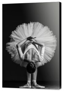 Młoda piękna balerina pozuje w studio