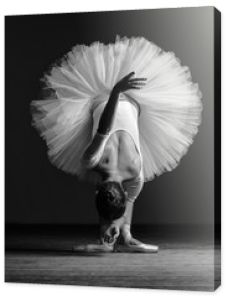 Młoda piękna baletnica pozuje w studio