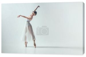 eleganckie baleriny taniec w studio, na białym tle