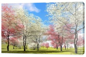 Kwitnące drzewa derenia w sadzie w okresie wiosennym renderowania 3d