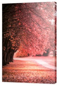 Piękna, jesienna sceneria ze szpalerem drzew i złotymi i czerwonymi liśćmi w parku