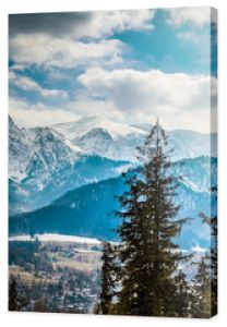 Zimowa panorama gór Zakopane, Wysokie Tatry, Polska,