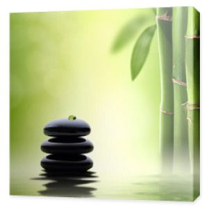 Koncepcja Zen. Czarne kamienie spa w zielonym bambusowym lesie