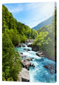 Żywy szwajcarski krajobraz z czystym strumieniem rzeki