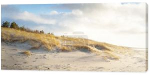 Brzeg (pustynia) wyspy Anholt pod jasnym błękitnym niebem z świecącymi chmurami. wydmy i rośliny (ammophila), zbliżenie tekstury. Ochrona środowiska, ekoturystyka, podróże. Kattegat, Dania