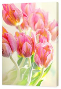Zbliżenie kompozycji kwiatowej z różowymi tulipanami. Wiele pięknych świeżych różowych tulipanów.