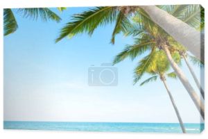Piękny krajobraz kokosowe Palmy na tropikalnej plaży (seascape) w lecie. Koncepcja lato tło.