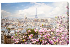 panoramę Paryża z wieżą eiffla