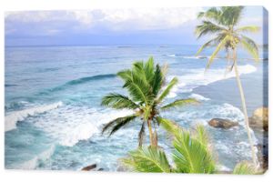 Krajobraz wybrzeża Oceanu Indyjskiego na Sri Lance z palmami