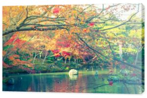 Jesień las z rzeki (filtrowane obrazu przetwarzane vintage effe