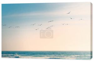 Stado ptaków lecących nad Oceanem Spokojnym. Niebieski i turkusowy kolorowe fale morskie, piękne zachmurzone niebo na tle