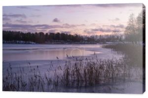 Piękny zimowy krajobraz z jeziorem w miejscowości Trakai, Litwa.