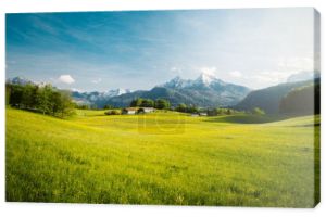 Idylliczny krajobraz w Alpach z kwitnącymi łąkami na wiosnie