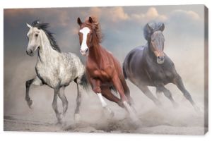 Konie biegną swobodnie po pustynnej burzy przed zachodem słońca?