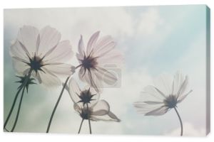 kwiaty z filtr efektu retro styl vintage