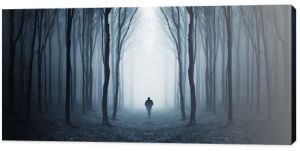Sylwetka samotnego człowieka w lesie