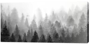 Monochromatyczna, mglista panorama lasu. Minimalistyczna sztuka krajobrazu natury. Ilustracja akwarela na białym tle.