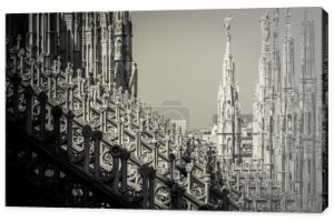 Katedra Duomo, Mediolan - szczegóły