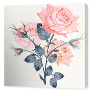 Elegancka i piękna różowa róża wektor na białym tle w stylu vintage wysokiej szczegółowości