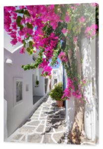 Biała aleja z kolorowymi kwiatami oleandrów i białymi domami na Cykladach w lecie, Grecja