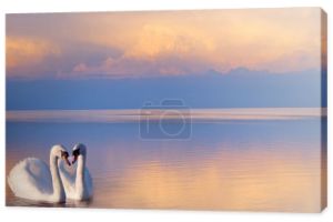 sztuki piękne dwa białe łabędzie na jeziorze 