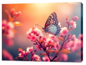Tło natury z kwiatami i motylem wiosną rano