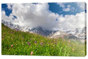 Beautiful summer mountain landscape, high peaks, green grass, blooming flowers and blue sky.
