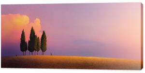 Piękny krajobraz wsi natura Włochy  pole uprawne i drzewa cyprysowe na niebie o zachodzie słońca