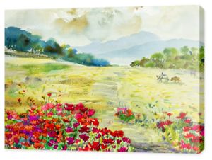 Akwarela malarstwo pejzaż kolorowy polne kwiaty, bawół na łące.