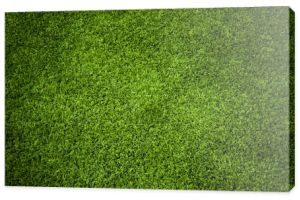 Tekstura trawy