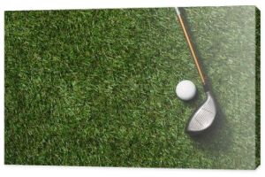 Golf club i piłka na trawie
