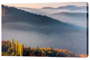 jesienna sceneria z mgłą w dolinie o wschodzie słońca. krajobraz górski w świetle poranka. drzewa w kolorowych liściach na wzgórzu. wspaniała słoneczna pogoda z chmurami na niebie