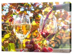 Przyjemność w Palatynacie: Degustacja wina jesienią, wino czerwone, wino białe, winogrona :)