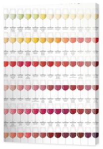 kolory wina