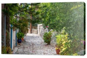 Piękne wąskie uliczki w wiosce Lania, Cypr